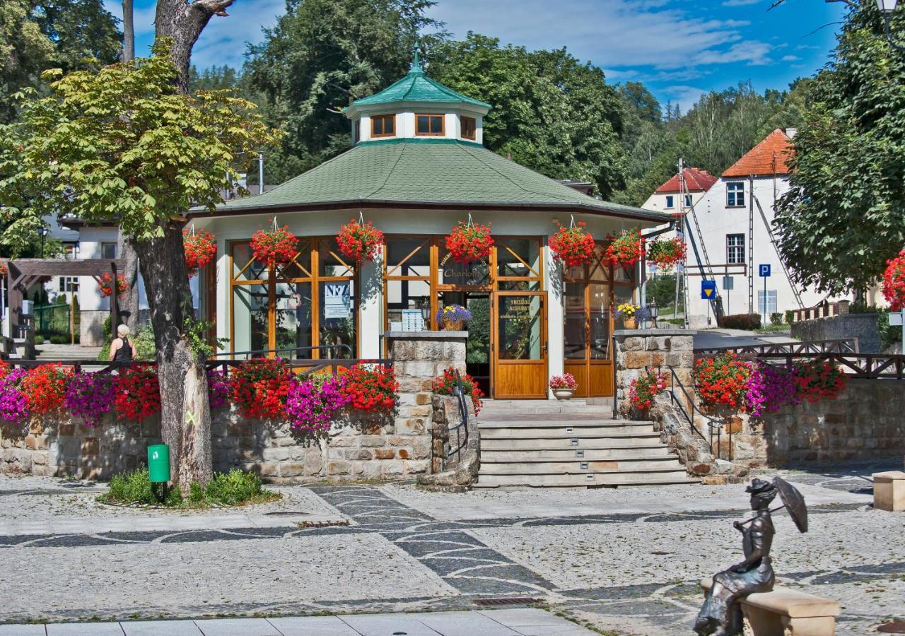 Dom Zdrojowy W Jedlinie Zdroju Aparthotel Jedlina-Zdroj Buitenkant foto