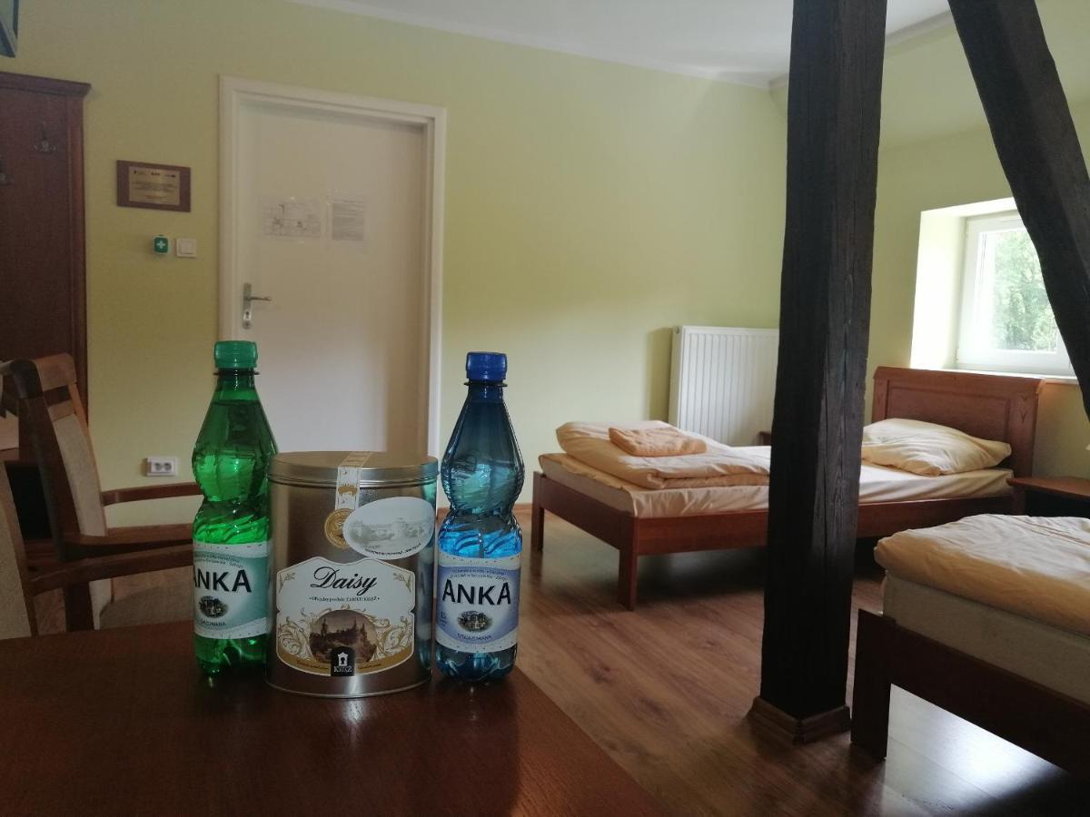 Dom Zdrojowy W Jedlinie Zdroju Aparthotel Jedlina-Zdroj Buitenkant foto